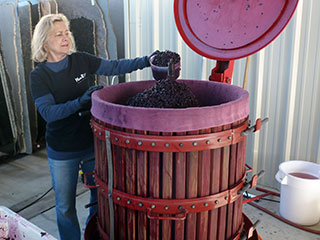 Janis pressing grapes